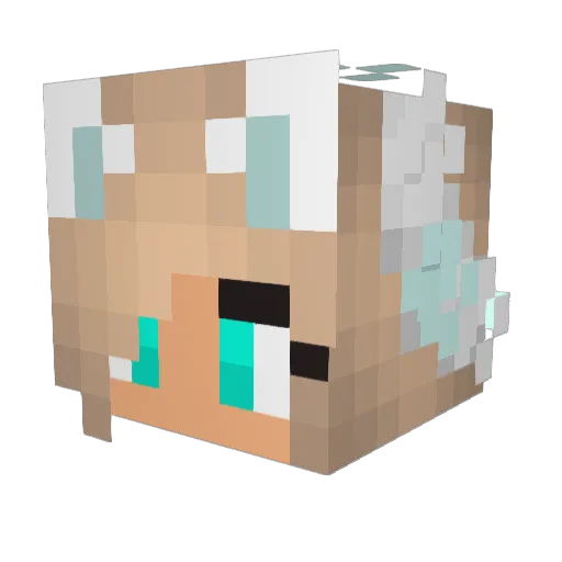 tabatha99 Minecraft avatar head, 3D render