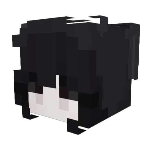 tabbits Minecraft avatar head, 3D render