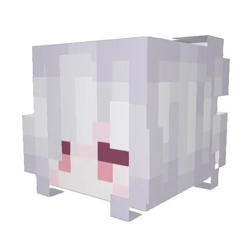 tabiji762 Minecraft avatar head, 3D render