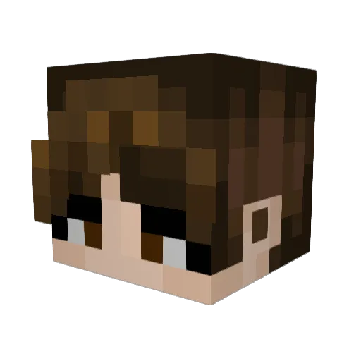 tabspangolian Minecraft avatar head, 3D render