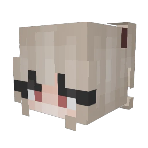 tac0b3ll Minecraft avatar head, 3D render