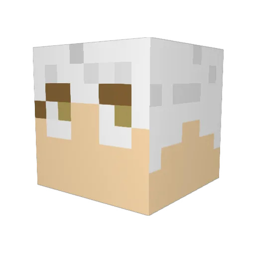 tac0n1nja Minecraft avatar head, 3D render