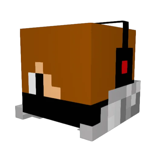 tachi_rodriguez Minecraft avatar head, 3D render