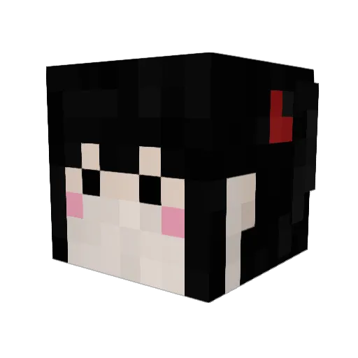 tachico149 Minecraft avatar head, 3D render