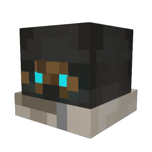 taciturn011 Minecraft avatar head, 3D render