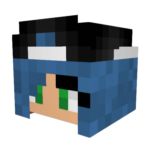 tackledeak Minecraft avatar head, 3D render