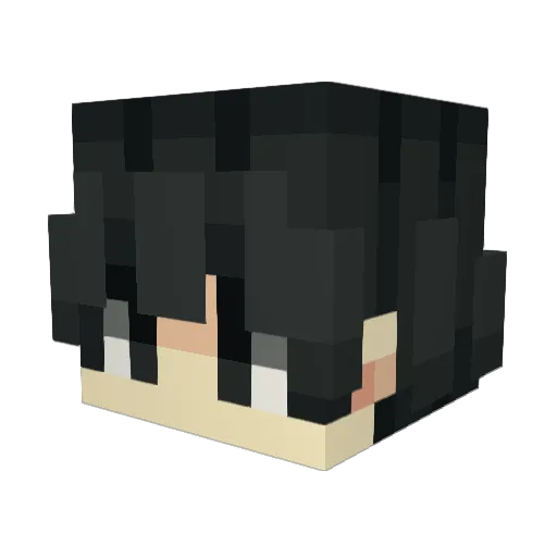taco_boi_e Minecraft avatar head, 3D render