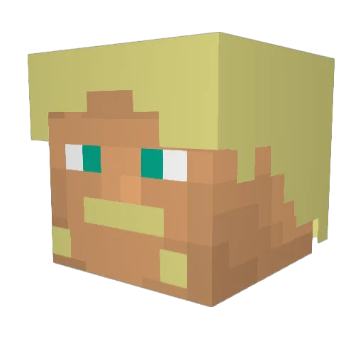 taco_lover42069 Minecraft avatar head, 3D render