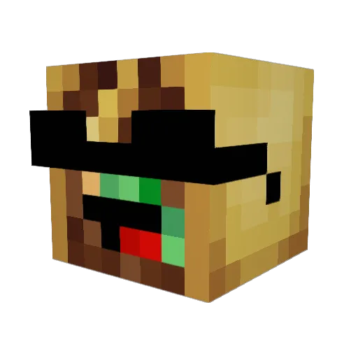 taco_supreme Minecraft avatar head, 3D render