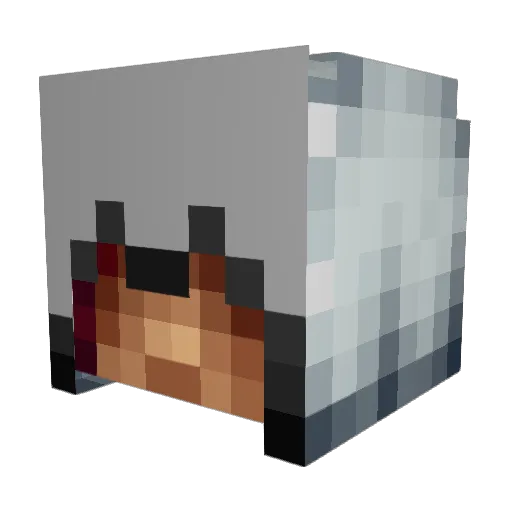 tacoaapje Minecraft avatar head, 3D render