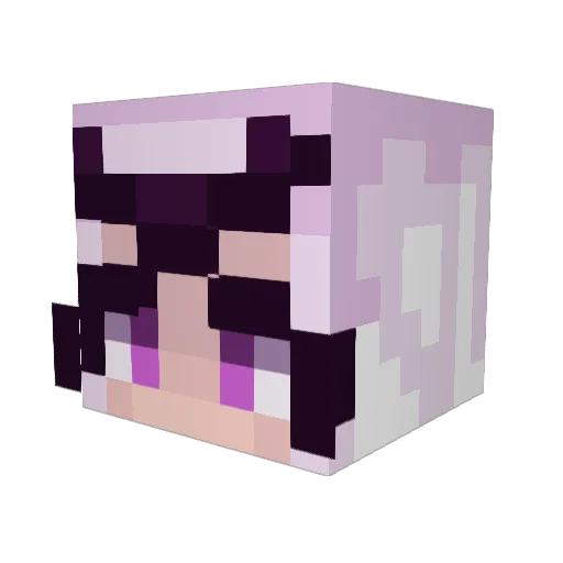 tacobell__ Minecraft avatar head, 3D render