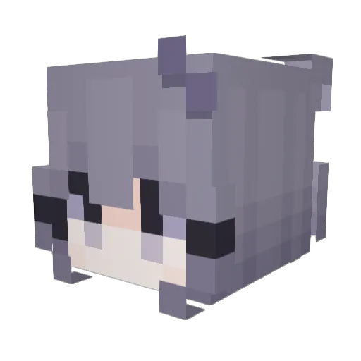 tacobellee Minecraft avatar head, 3D render