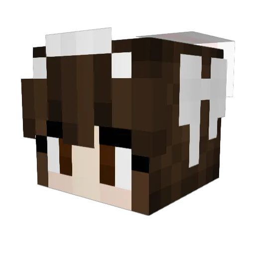 tacobellers Minecraft avatar head, 3D render