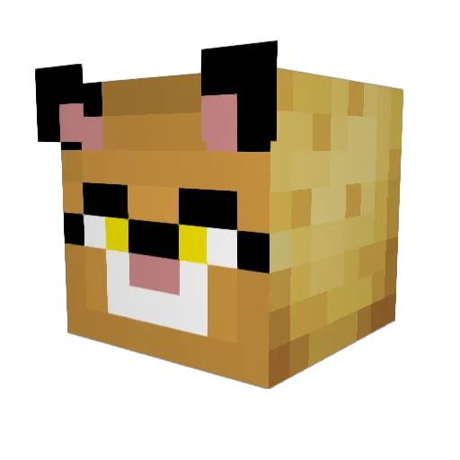 tacocat2004 Minecraft avatar head, 3D render