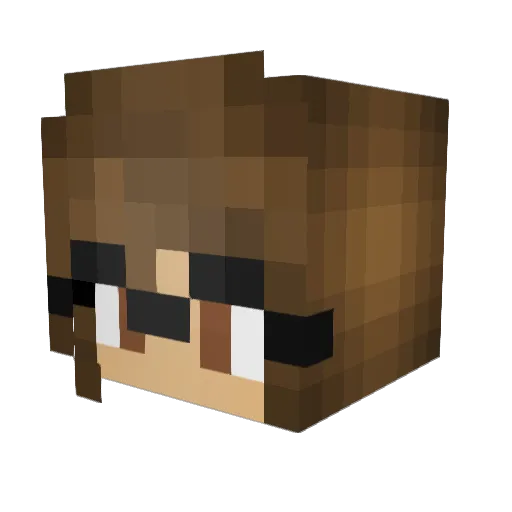 tacocat_19 Minecraft avatar head, 3D render
