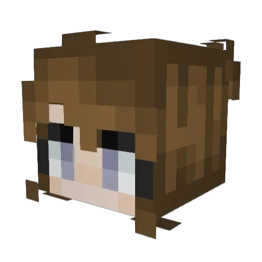 tacocat___ Minecraft avatar head, 3D render