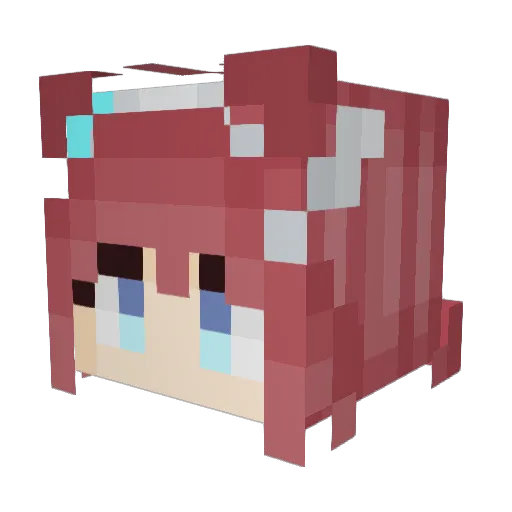 tacodogyt Minecraft avatar head, 3D render