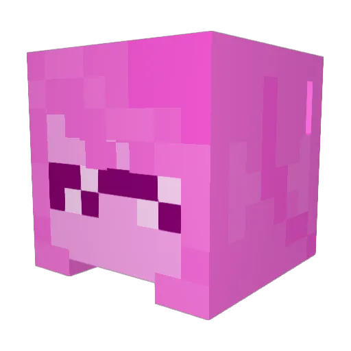 tacokittybomb Minecraft avatar head, 3D render
