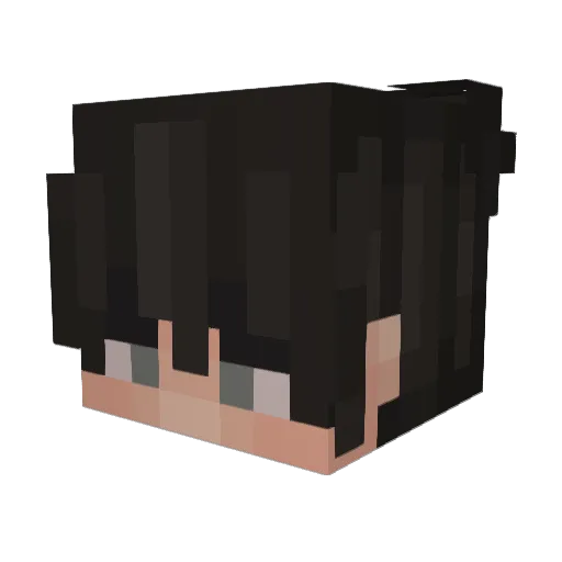 tacol0vrrr Minecraft avatar head, 3D render