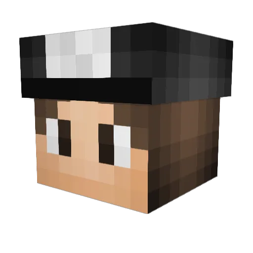 tacoman29 Minecraft avatar head, 3D render