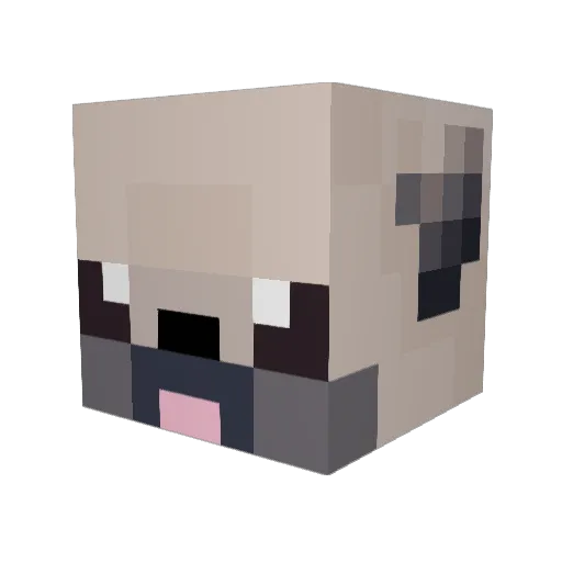 tacomaya Minecraft avatar head, 3D render