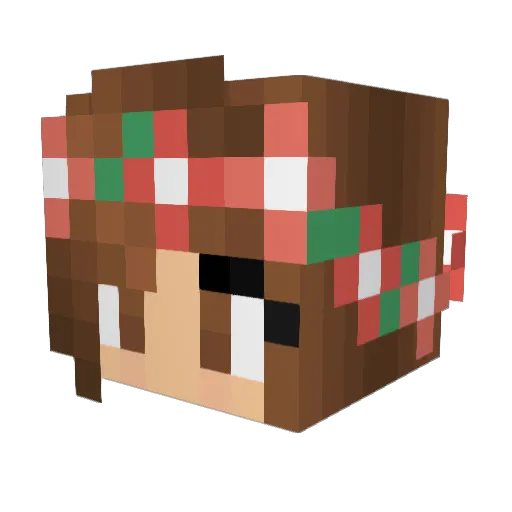 tacoobelle Minecraft avatar head, 3D render