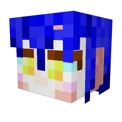 tacopa Minecraft avatar head, 3D render