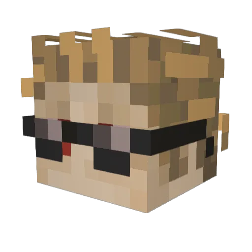 tacopalooza Minecraft avatar head, 3D render
