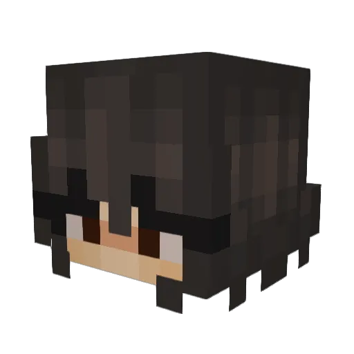 tacos3dits Minecraft avatar head, 3D render