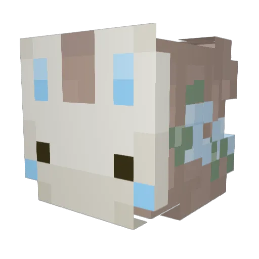tacotanja Minecraft avatar head, 3D render