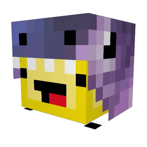 tactilesplash94 Minecraft avatar head, 3D render