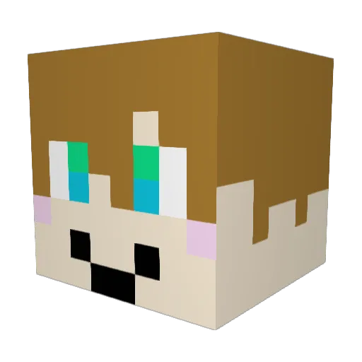 tadanogohan Minecraft avatar head, 3D render