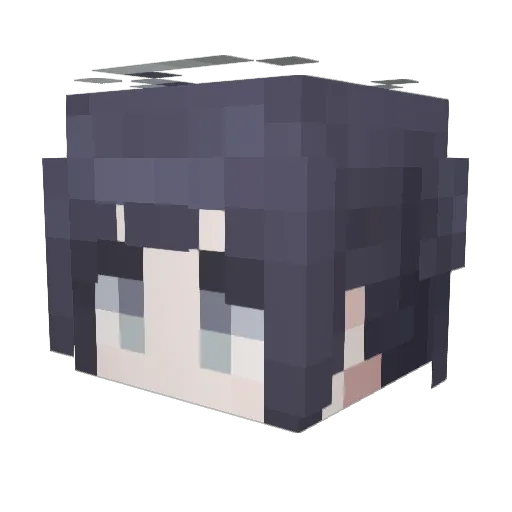 tadanoippan Minecraft avatar head, 3D render