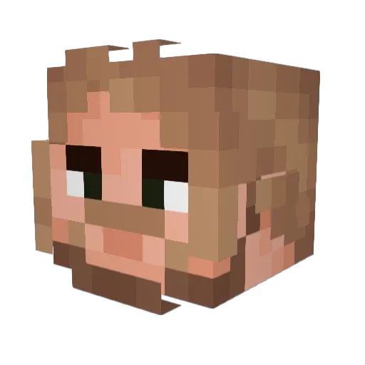 tadashiwha Minecraft avatar head, 3D render