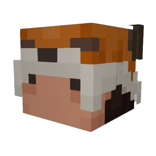 tadekaii Minecraft avatar head, 3D render