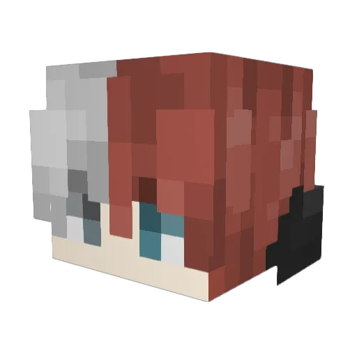 tadzioelo4413 Minecraft avatar head, 3D render