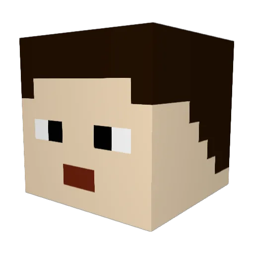 taejin1011 Minecraft avatar head, 3D render
