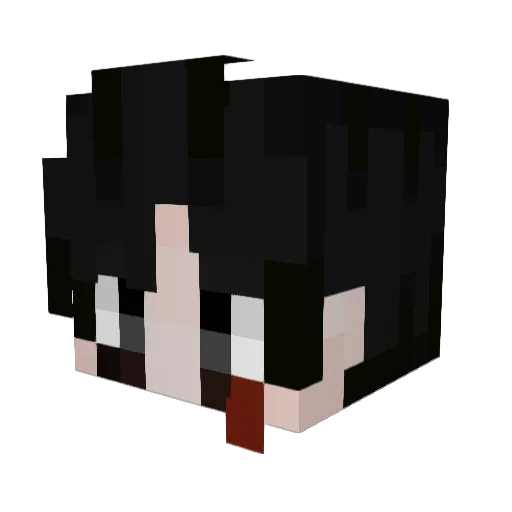 taennn Minecraft avatar head, 3D render