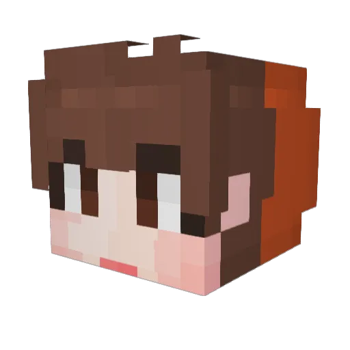 taeseongg0901 Minecraft avatar head, 3D render