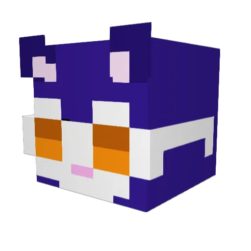 taewooXD Minecraft avatar head, 3D render