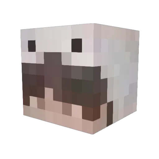 taeyoon0326 Minecraft avatar head, 3D render