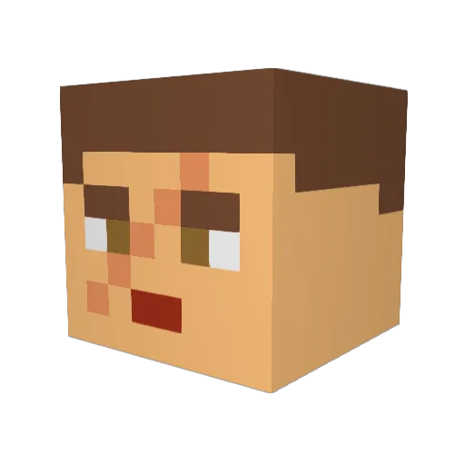 tafferm8 Minecraft avatar head, 3D render