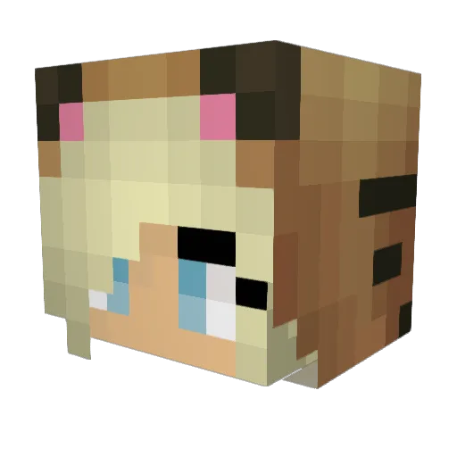 tagboss777 Minecraft avatar head, 3D render