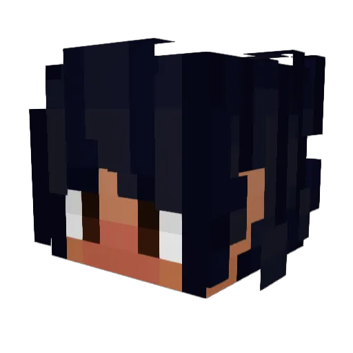 tago Minecraft avatar head, 3D render