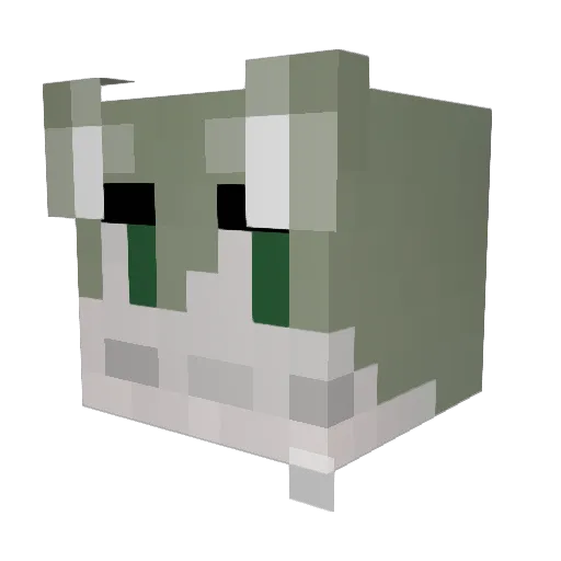 tagoe Minecraft avatar head, 3D render