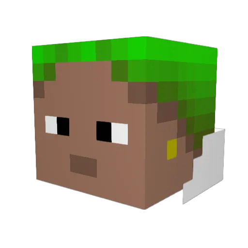 tagxxzn Minecraft avatar head, 3D render