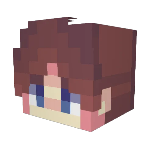 tagyn Minecraft avatar head, 3D render