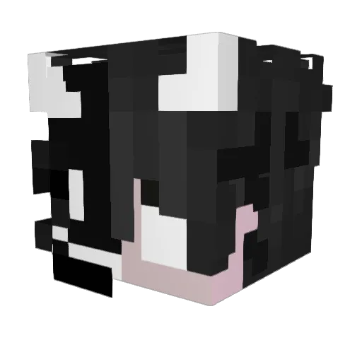taha____dark Minecraft avatar head, 3D render