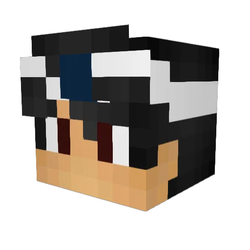 tahren Minecraft avatar head, 3D render
