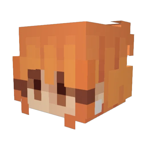 tahs0 Minecraft avatar head, 3D render